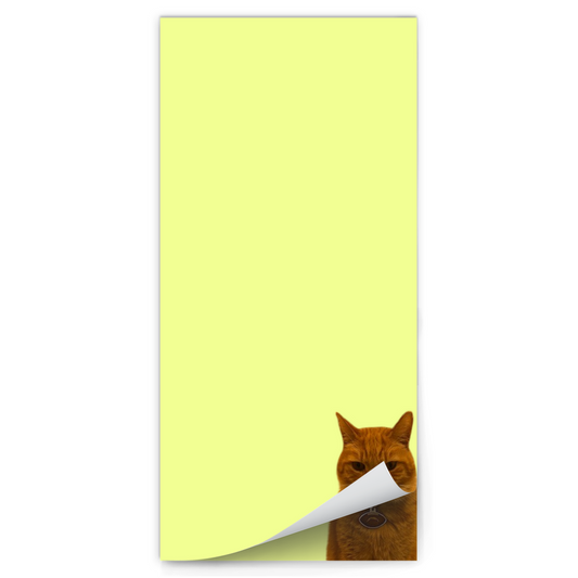 Orange Cat Magnetic Notepad